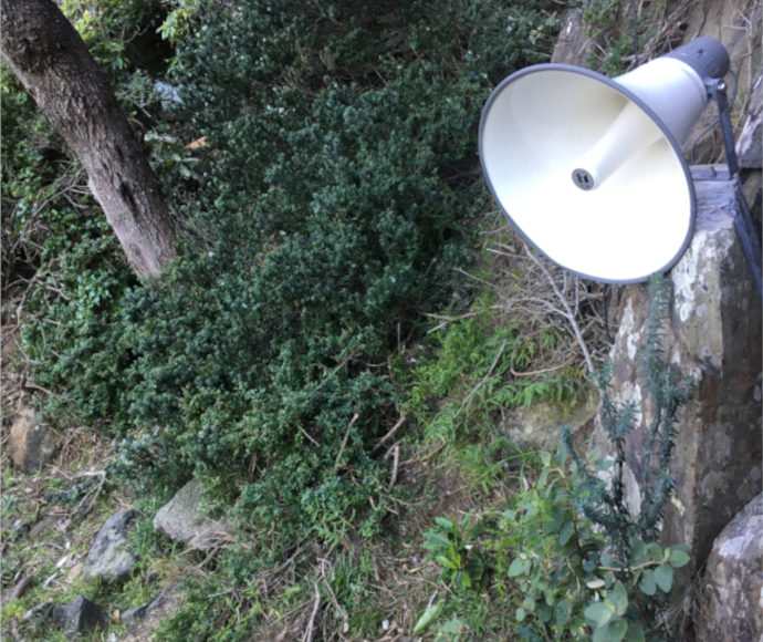 A loudspeaker is visible on a large rock amongst scrub